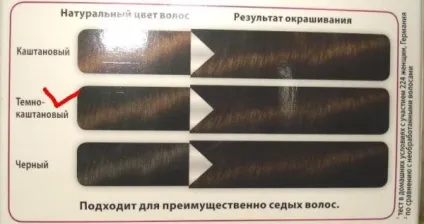 Кольоровий експеримент з маскою-фарбою color mask від schwarzkopf у відтінку 400 темний шоколад - (більше не куплю) Кольоровий експеримент з маскою-фарбою color mask від schwarzkopf у відтінку 400 темний шоколад -