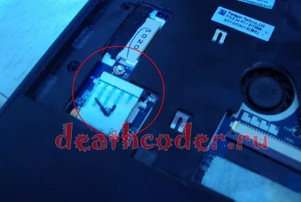 Death coder