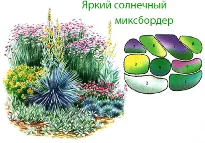 Декоративні злаки на клумбах і квітниках фото і схеми посадки