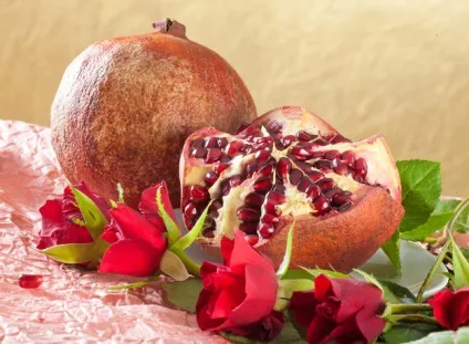 Квіткова кулінарія тонкощі вишуканих страв (вишуканих) Квіткова кулінарія тонкощі вишуканих страв