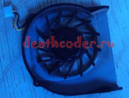 Death coder