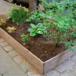 Дерев'яні огорожі для клумб краса з природним початком (70 фото) (клумб) Дерев'яні огорожі для клумб краса з природним початком (70 фото)