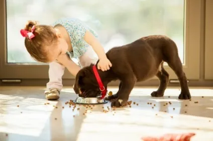 Дівчинка з собакою - girl with a dog