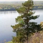 Будинки з клеєного бруса проекти, ціни, будівництво під ключ в Харків (ціни) Будинки з клеєного бруса проекти, ціни, будівництво під ключ в Харків