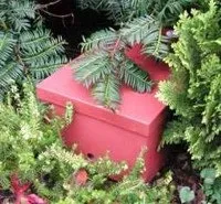 Будиночки-вулики для джмелів - статті про джмелів і джмільництво - новини (будиночки-вулики) Будиночки-вулики для джмелів - статті про джмелів і джмільництво - новини