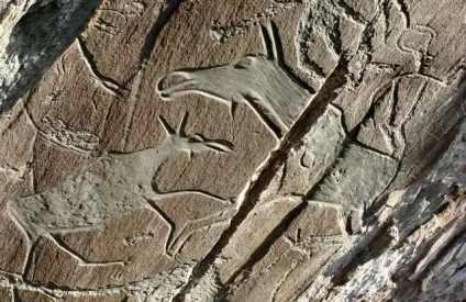 Пам'ятки сибірського фоУкаіни (пам'ятки) Пам'ятки сибірського фоУкаіни