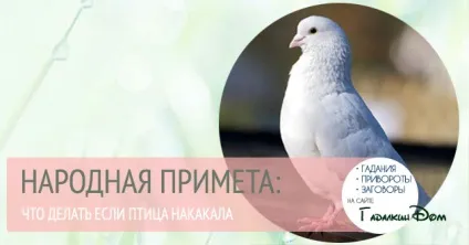 Якщо птах накакала