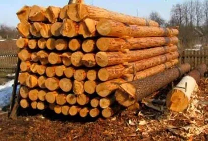Якщо чорніють будматеріали
