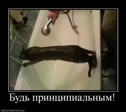 Є привід замислитися 1