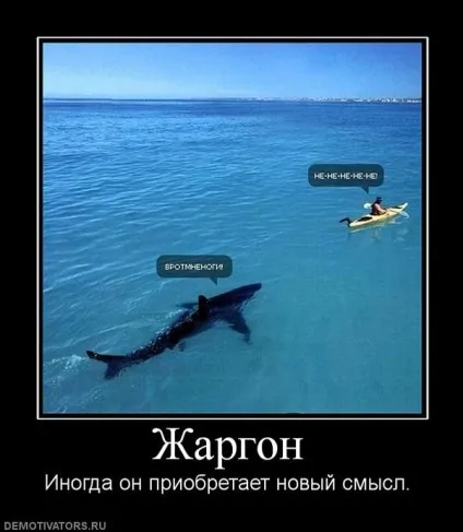 Є привід замислитися 1