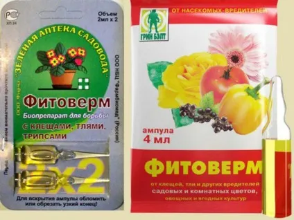 Фитоверм від попелиці як застосовувати, розводити фітоверм