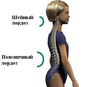 Гіперлордоз шийного відділу хребта - що це (хребта) Гіперлордоз шийного відділу хребта - що це