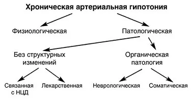 Гіпотонія види, причини, ознаки, симптоми, лікування (лікування) Гіпотонія види, причини, ознаки, симптоми, лікування