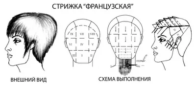 Французька стрижка, варіанти і схеми створення для різної довжини волосся (французька) Французька стрижка, варіанти і схеми створення для різної довжини волосся