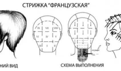 Французька стрижка, варіанти і схеми створення для різної довжини волосся (стрижки довге волосся) Французька стрижка, варіанти і схеми створення для різної довжини волосся
