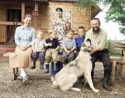 Де живе герман Стерлігов