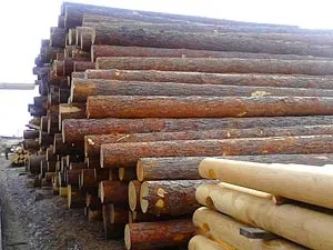 Група компаній північний ліс - північний ліс (північний) Група компаній північний ліс - північний ліс