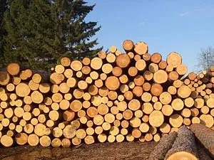 Група компаній північний ліс - північний ліс (північний) Група компаній північний ліс - північний ліс