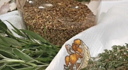 Гриб дощовик - фото і опис, лікувальні властивості та протипоказання (лікувальні) Гриб дощовик - фото і опис, лікувальні властивості та протипоказання
