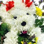 Іграшки з квітів з безкоштовною доставкою (квітів) Іграшки з квітів з безкоштовною доставкою