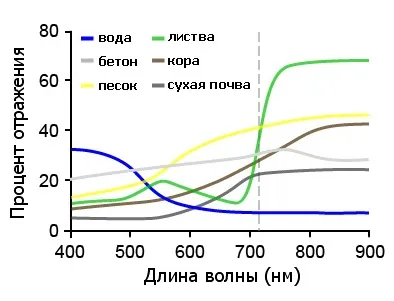 Інфрачервона фотографія (інфрачервона) інфрачервона фотографія