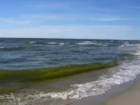 Цікаві факти про балтійському морі (море) Цікаві факти про балтійському морі