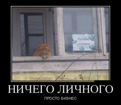 Цікаві історії про смерть, kykyryzo