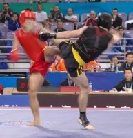 Історія розвитку спортивного ушу (ушу таолу) Історія розвитку спортивного ушу