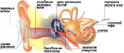 Змініть ваші вібрації, щоб продемонструвати ваші бажання