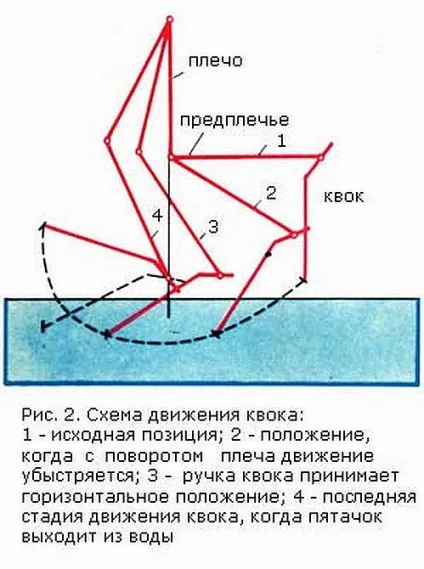 Виготовлення квока на сома - саморобки для риболовлі своїми руками (виготовлення) Виготовлення квока на сома - саморобки для риболовлі своїми руками