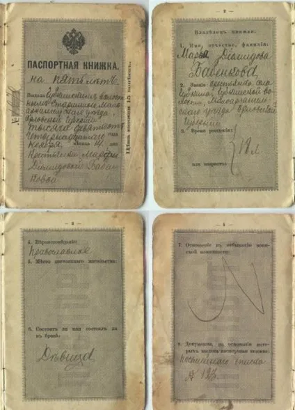 Історія паспорта, історія