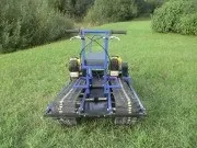 гусенична амфібія