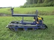 гусенична амфібія