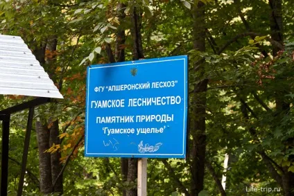 Гуамское ущелині в Житомирському краї, фото у вересні