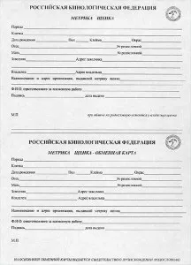 Які документи повинні бути у цуценяти померанського шпіца (повинні) Які документи повинні бути у цуценяти померанського шпіца