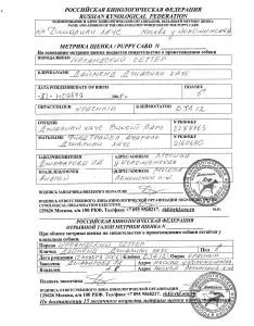 Які документи повинні бути у цуценяти померанського шпіца (цуценя) Які документи повинні бути у цуценяти померанського шпіца