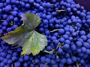 Як готувати смачну ячну кашу рецепт з фото (кашу) Як готувати смачну ячну кашу рецепт з фото