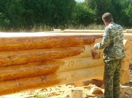 Як і чим пофарбувати оциліндрованої колоди (як і чим пофарбувати оциліндрованої колоди. Поради професіоналів по фарбуванню оциліндрованих колод) Як і чим пофарбувати оциліндрованої колоди