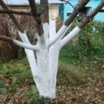 Як використовувати спиляти дерева для декору будинку (декору) Як використовувати спиляти дерева для декору будинку