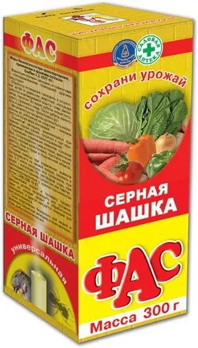 Як позбутися в погребі від цвілі боротися, видалити, прибрати, знищити, обробити, (боротися) Як позбутися в погребі від цвілі боротися, видалити, прибрати, знищити, обробити,