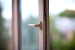 Як позбутися від дрозофіл в квартирі і на кухні (дрозофіл приносить людина) Як позбутися від дрозофіл в квартирі і на кухні