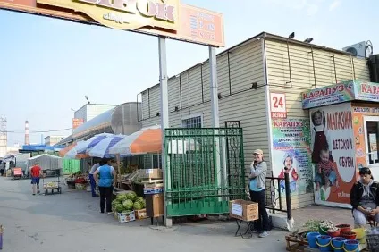 Як ми роздавали кошенят