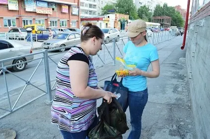 Як ми роздавали кошенят