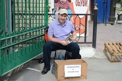 Як ми роздавали кошенят