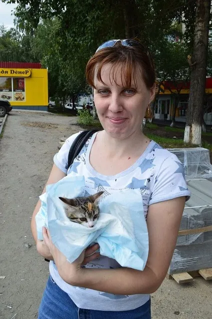 Як ми роздавали кошенят