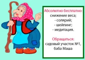 Як не втратити здоров'я на дачі (корисні поради здоров'я) Як не втратити здоров'я на дачі