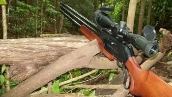 Яке нарізну мисливську рушницю вибрати (яке) Яке нарізну мисливську рушницю вибрати