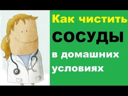 Як очистити судини від холестеринових бляшок і тромбів препарати, трави, мед (холестеринових) Як очистити судини від холестеринових бляшок і тромбів препарати, трави, мед