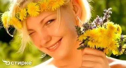 Як відіпрати кульбаба з одягу практичні поради, жіночий інтернет-журнал (поради) Як відіпрати кульбаба з одягу практичні поради, жіночий інтернет-журнал