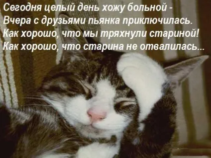 Як пити, ніж закушувати і що робити на наступний день (організм) Як пити, ніж закушувати і що робити на наступний день